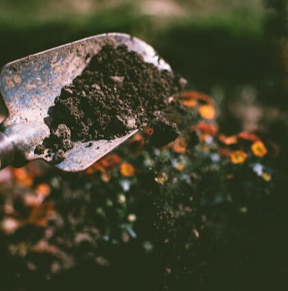 Bury blessed items in consecrated land. A trowel lifting rich dark earth